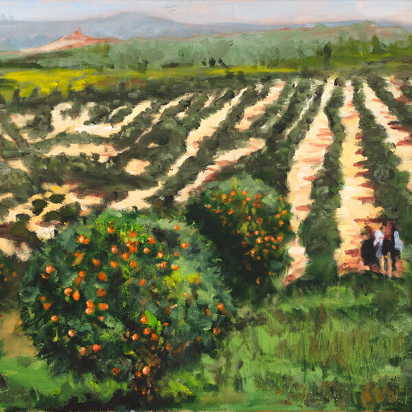 San Juan Capistrano Orange Groves